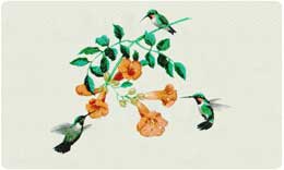 Bacova Mailbox Hummingbirds 10013