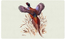 Bacova Mailbox Pheasant 2 10406