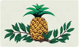 Bacova Oval Pineapple 10080